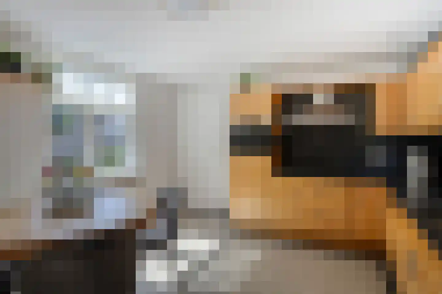 Van Vroonhovenlaan 15 Veldhoven thumbnail 15
