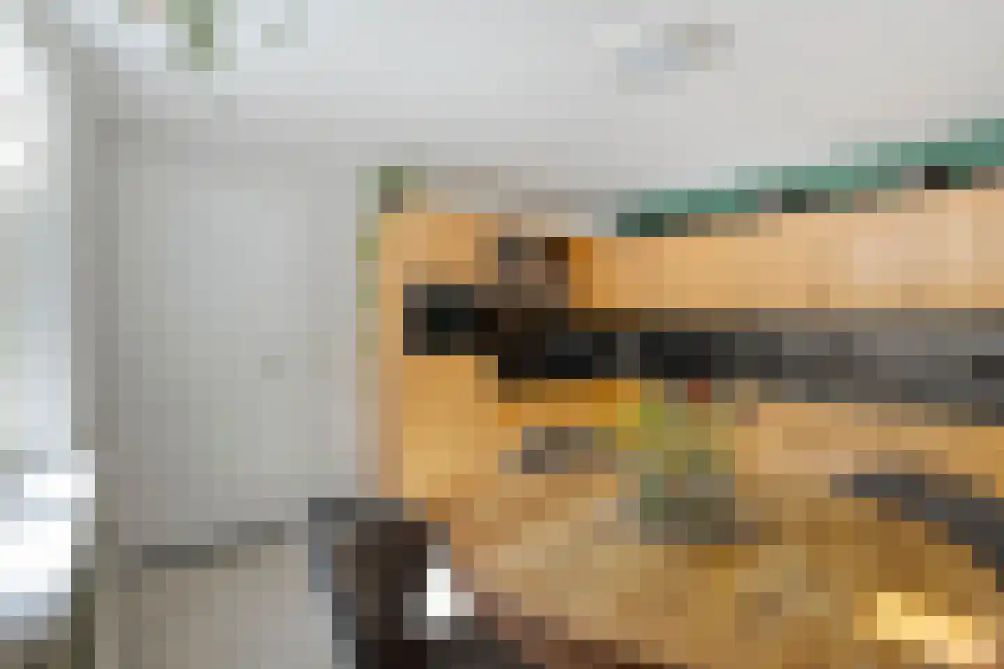 Van Vroonhovenlaan 15 Veldhoven thumbnail 16