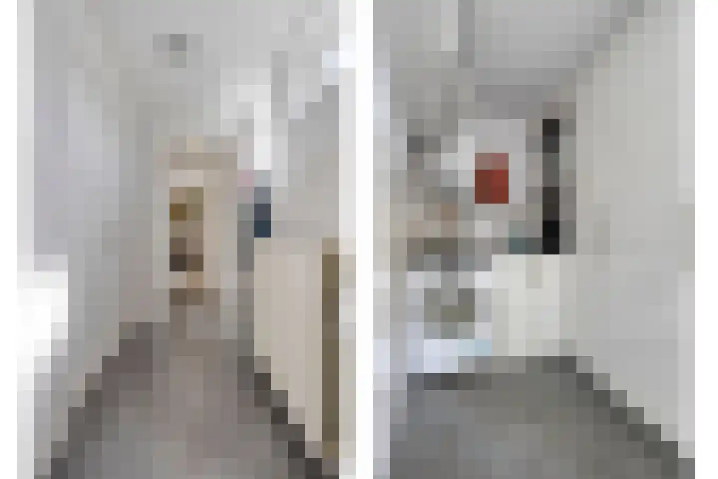 Van Vroonhovenlaan 15 Veldhoven thumbnail 19
