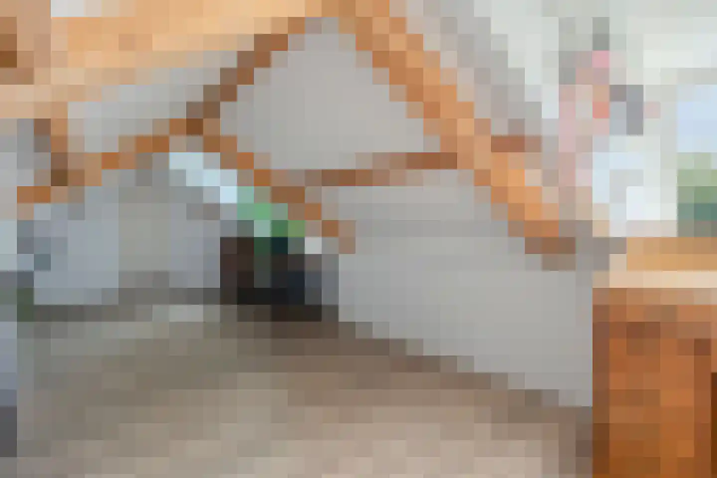 Van Vroonhovenlaan 15 Veldhoven thumbnail 31