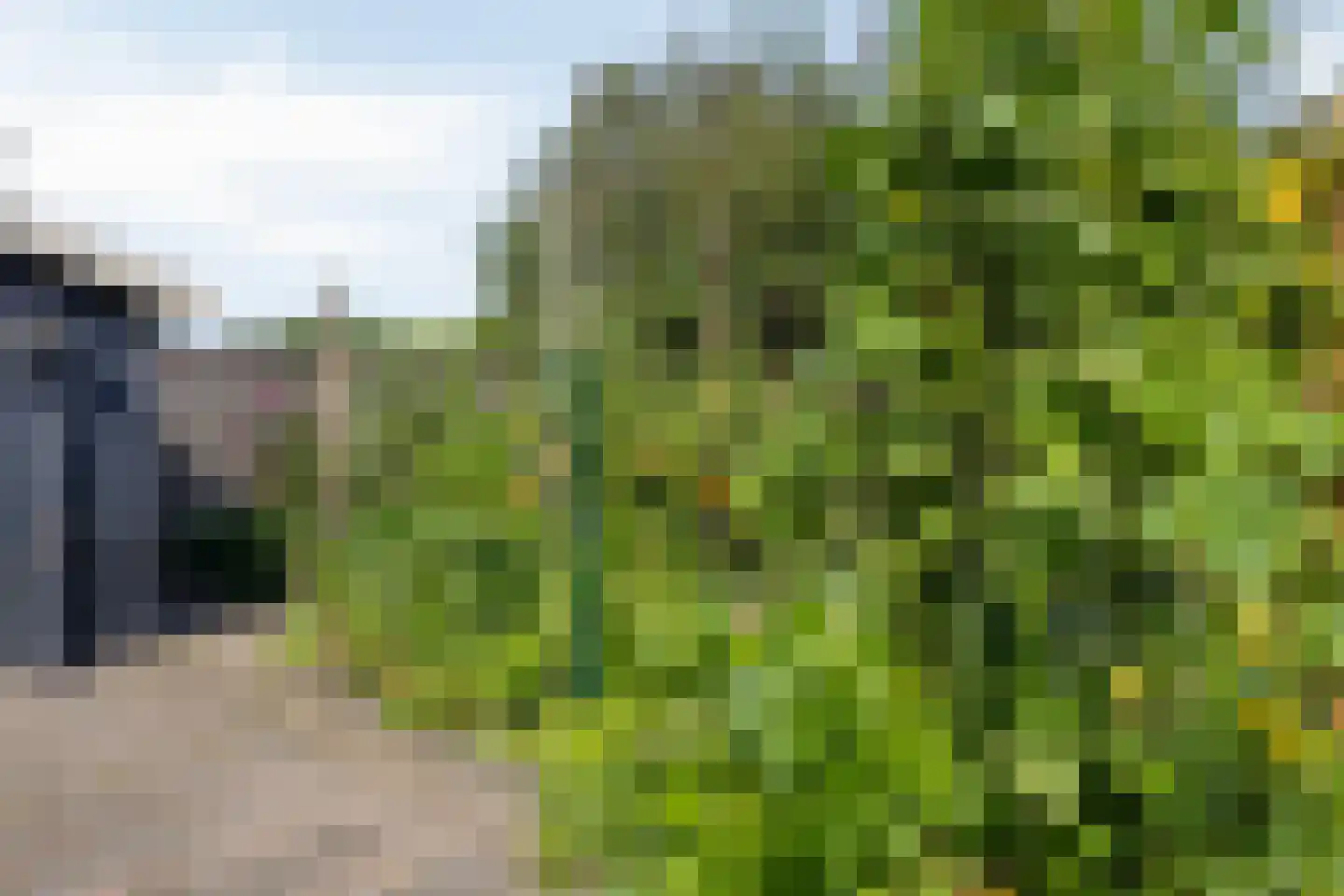 Van Vroonhovenlaan 15 Veldhoven thumbnail 47