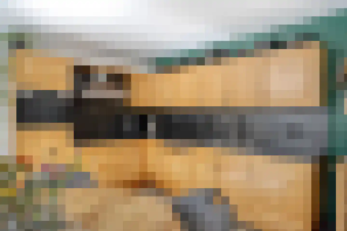 Van Vroonhovenlaan 15 Veldhoven thumbnail 5