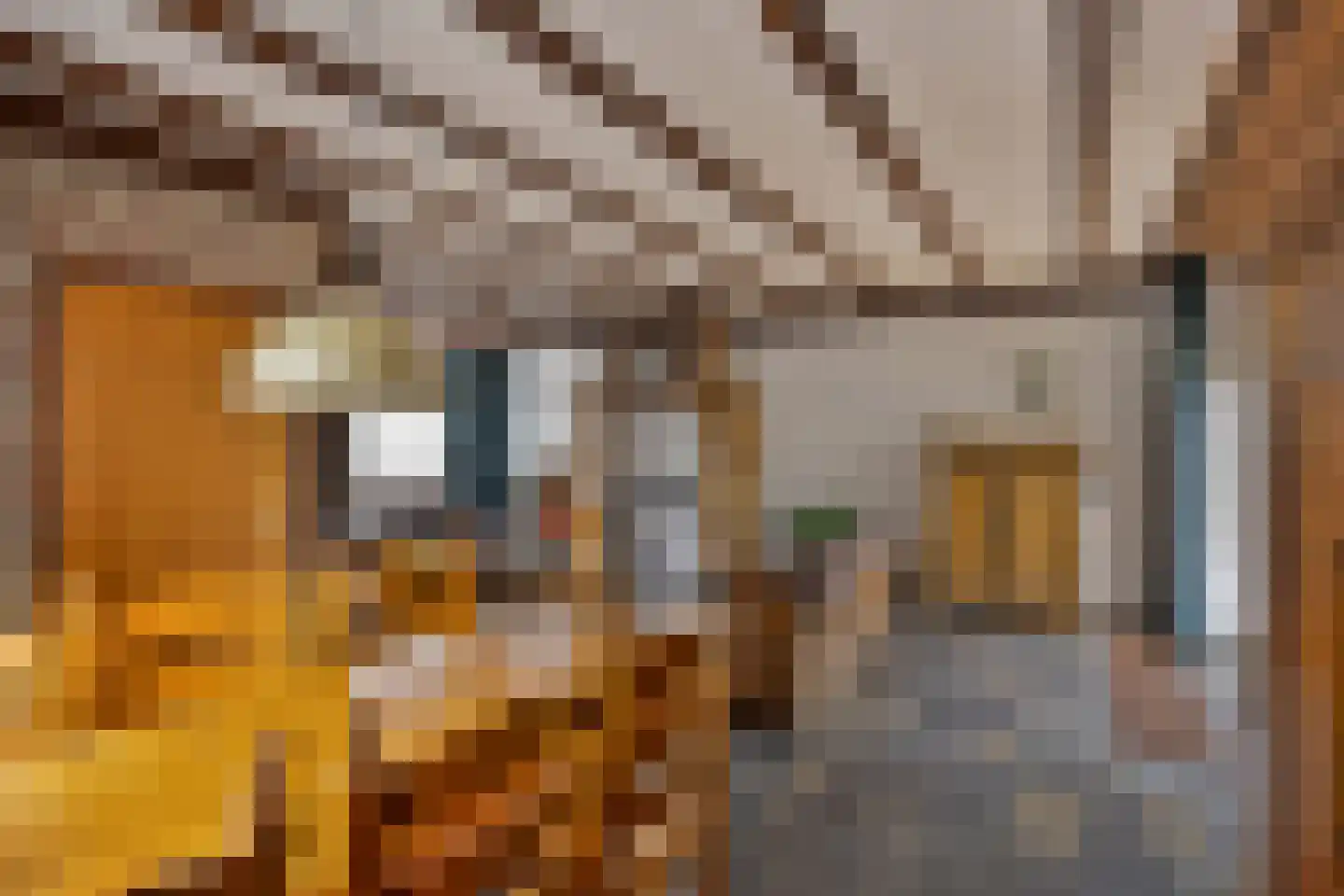 Van Vroonhovenlaan 17 Veldhoven thumbnail 12