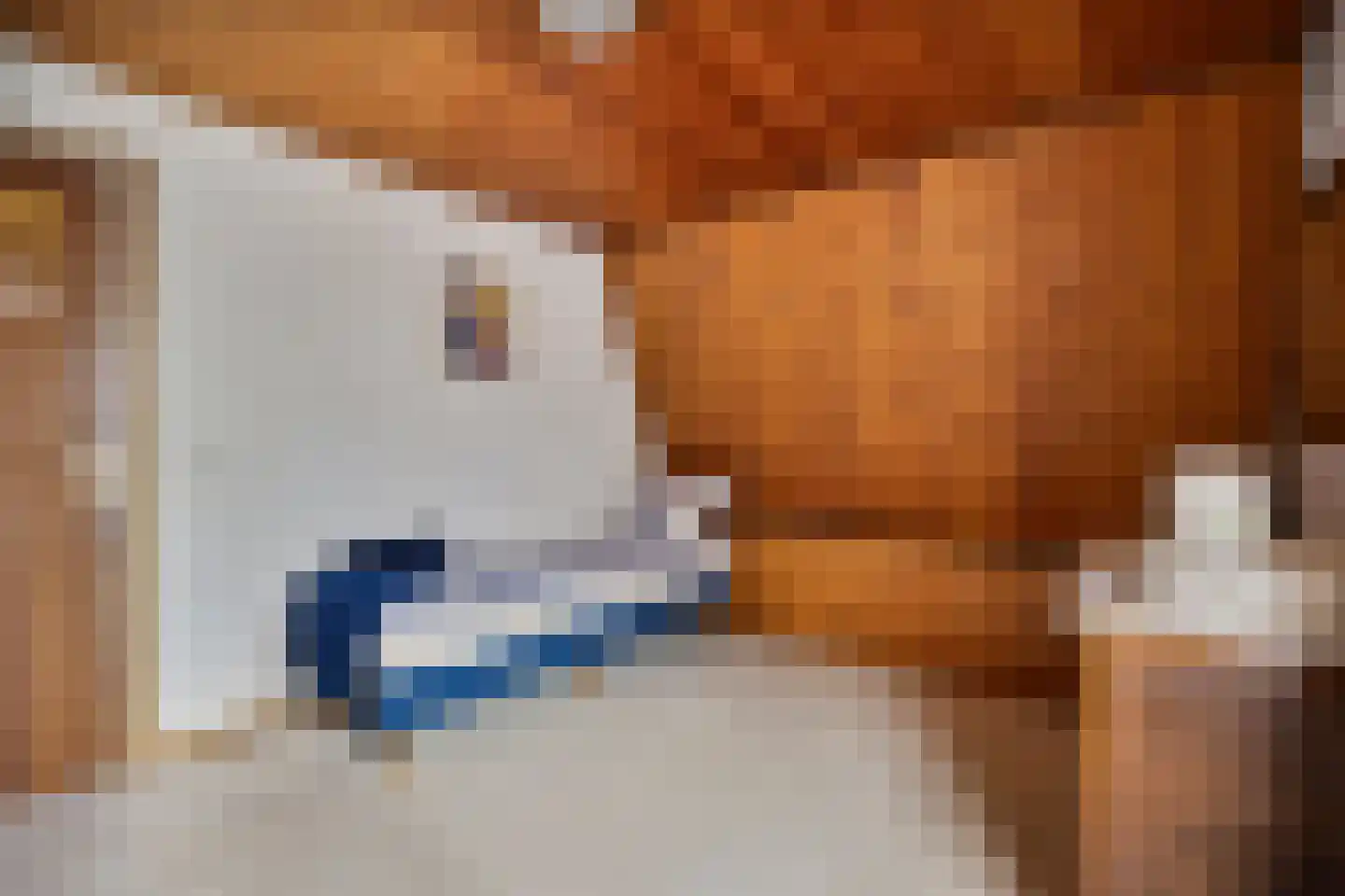 Van Vroonhovenlaan 17 Veldhoven thumbnail 18