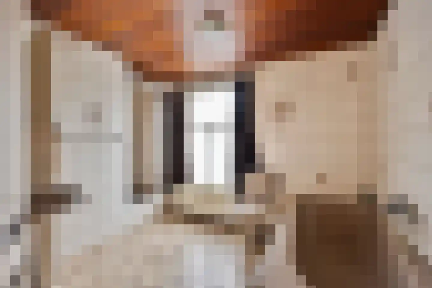 Van Vroonhovenlaan 17 Veldhoven thumbnail 21