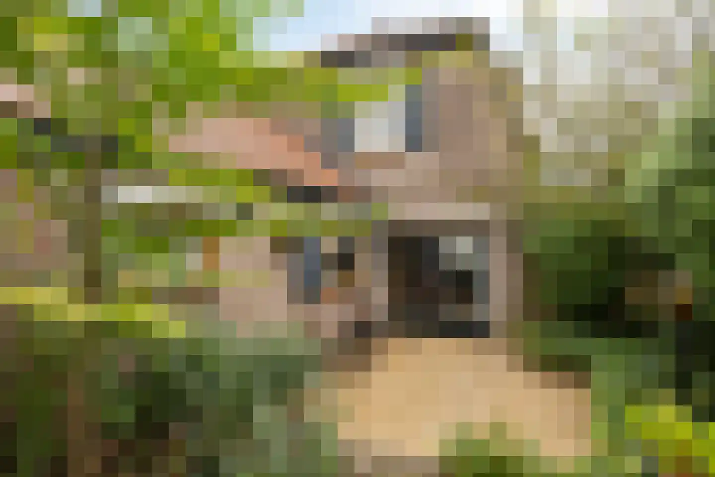 Van Vroonhovenlaan 17 Veldhoven thumbnail 23