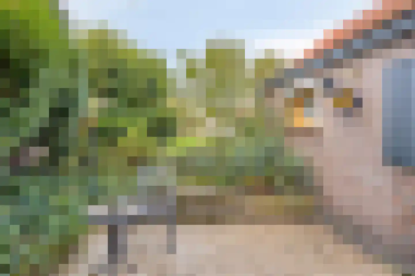 Van Vroonhovenlaan 17 Veldhoven thumbnail 24