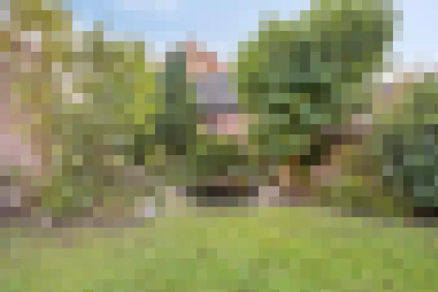 Van Vroonhovenlaan 17 Veldhoven thumbnail 26