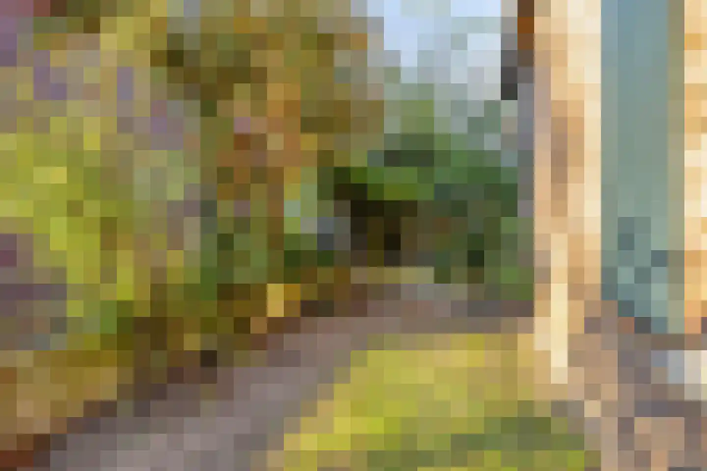 Van Vroonhovenlaan 17 Veldhoven thumbnail 36