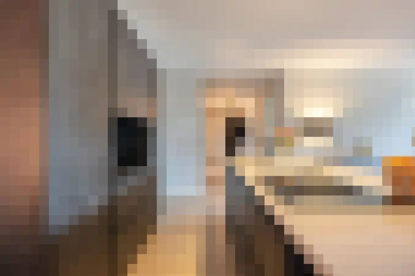 Van Vroonhovenlaan 24 Veldhoven thumbnail 19