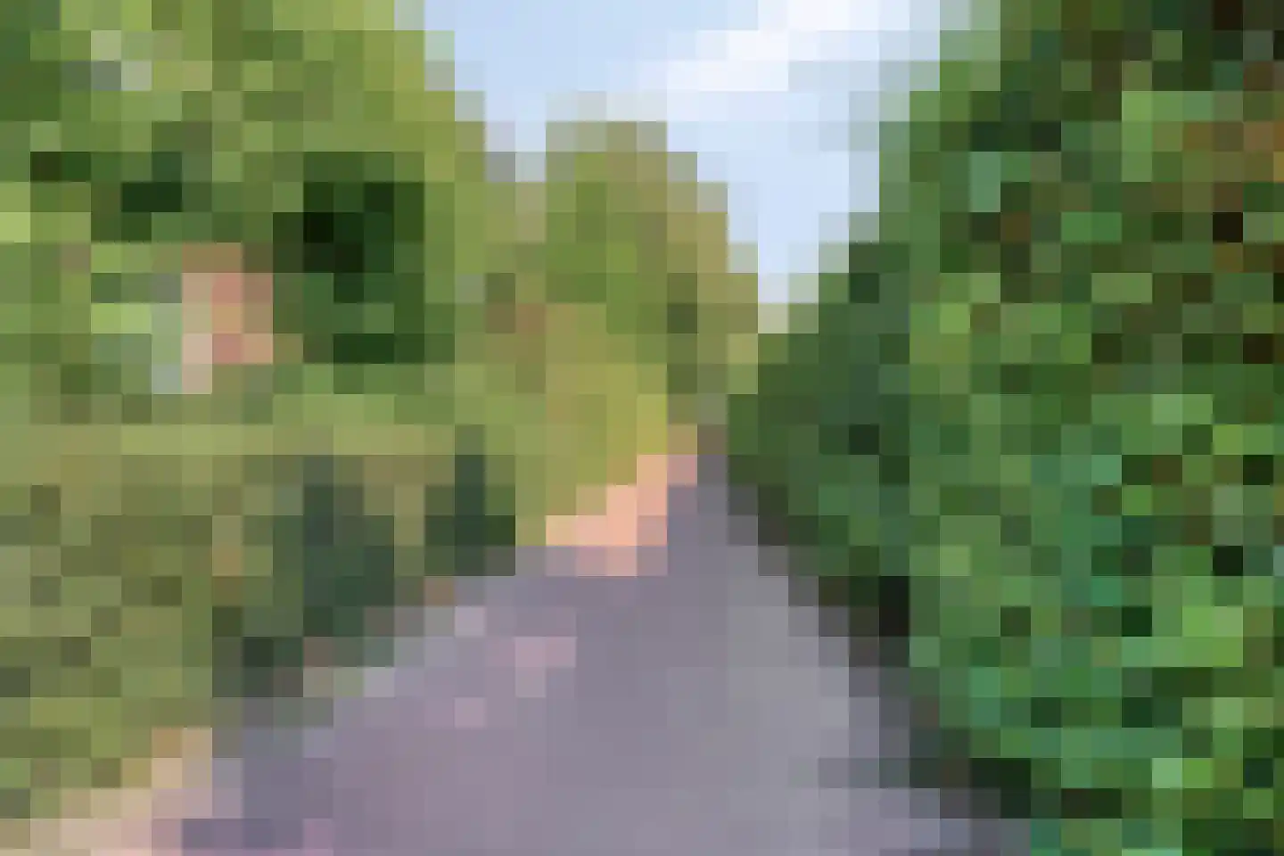 Van Vroonhovenlaan 24 Veldhoven thumbnail 32