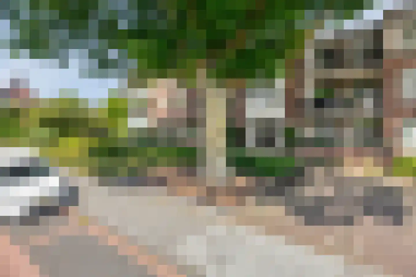 Van Vroonhovenlaan 24 Veldhoven thumbnail 34
