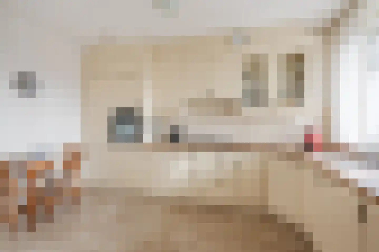 Van Vroonhovenlaan 32 Veldhoven thumbnail 16