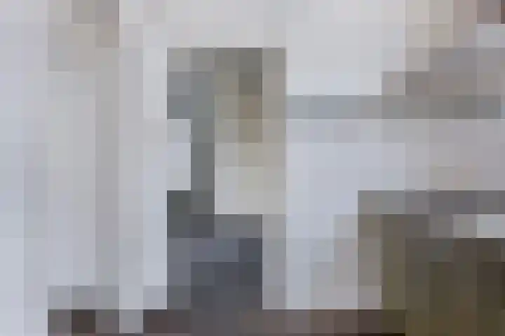 Van Vroonhovenlaan 53 Veldhoven thumbnail 7