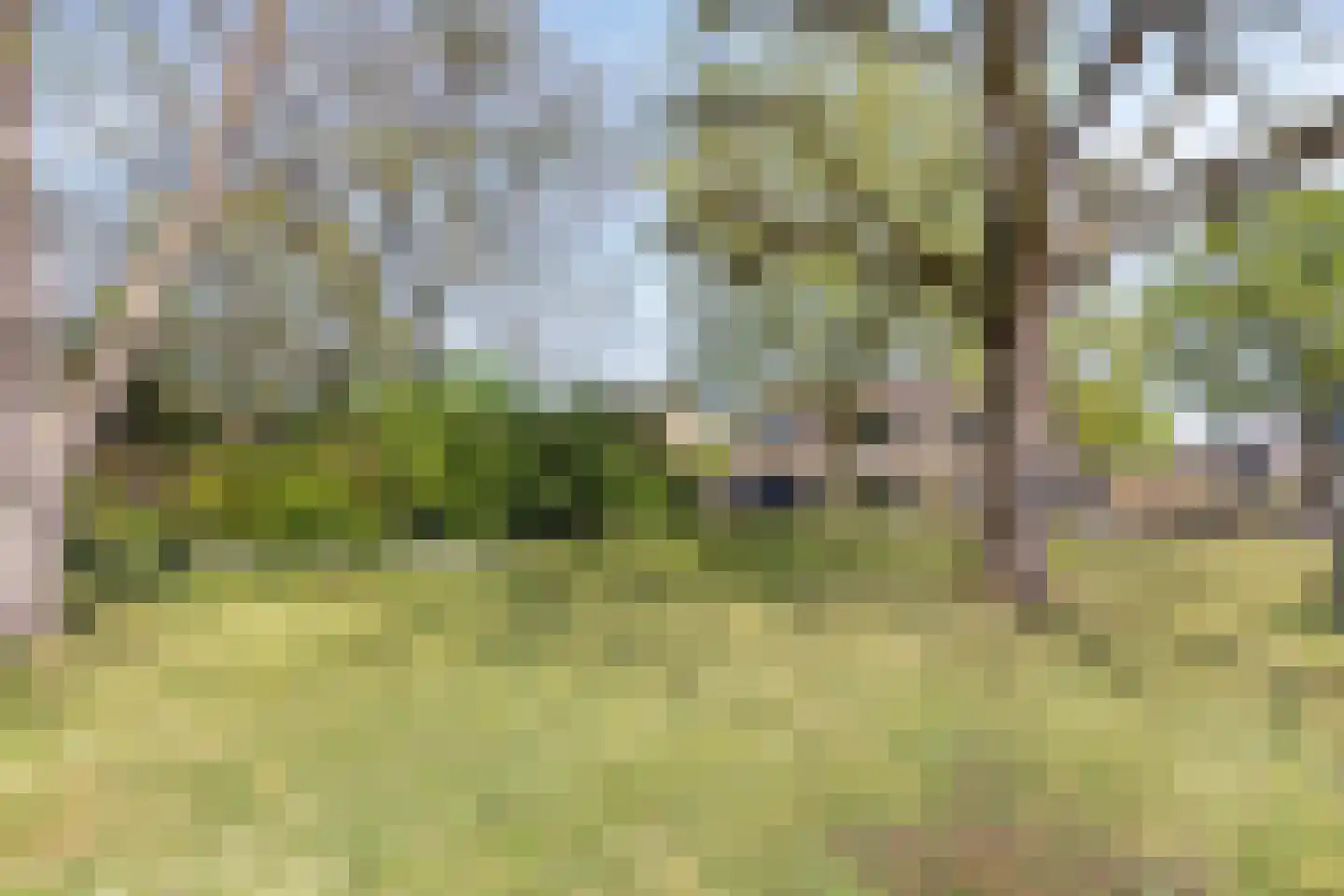 Van Vurenstraat 49 Made thumbnail 43