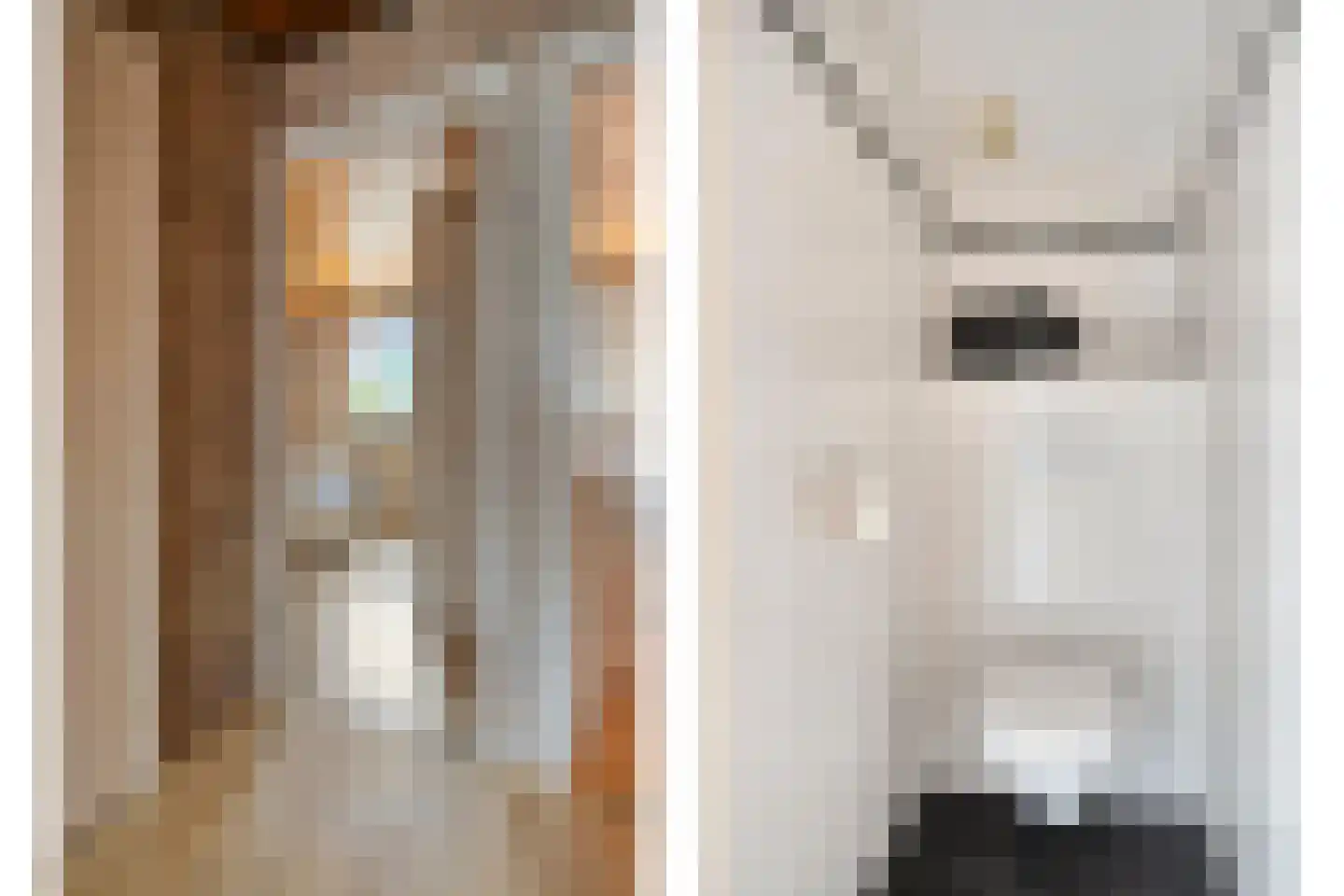 Van Wagenbergstraat 16 Hulsel thumbnail 16