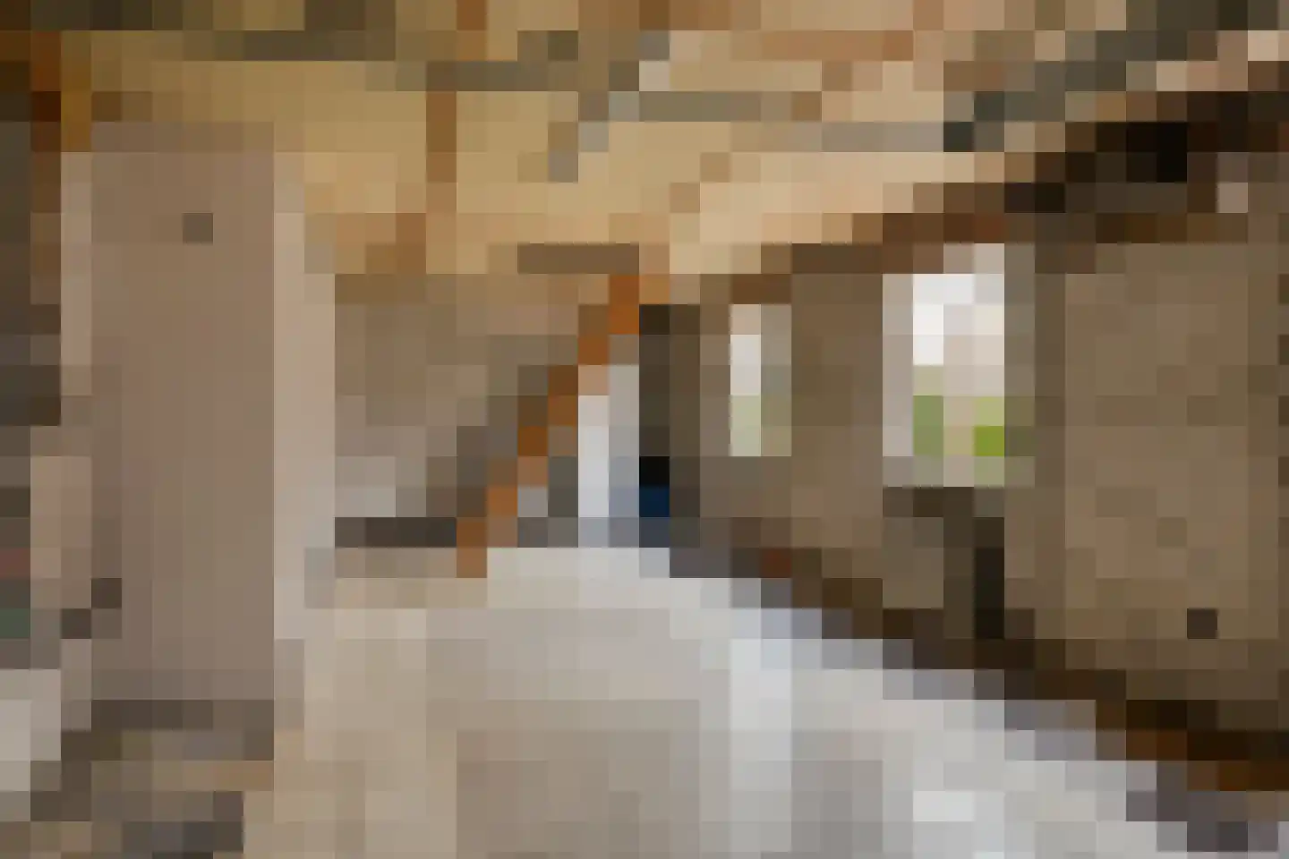 Van Wagenbergstraat 16 Hulsel thumbnail 38