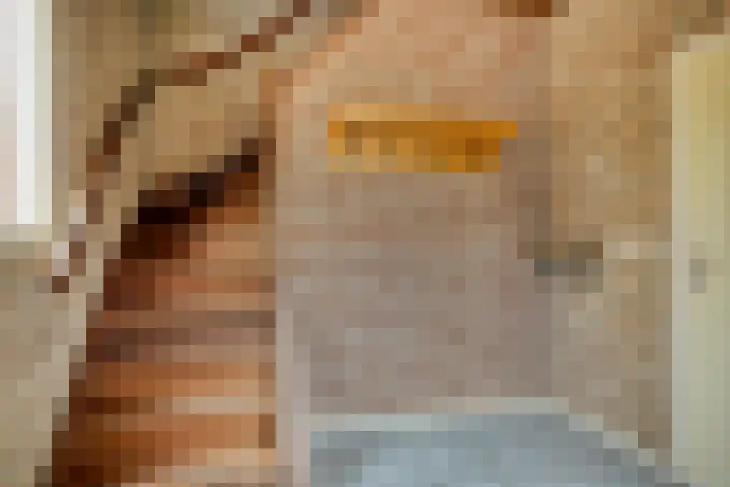 Van Wagenbergstraat 16 Hulsel thumbnail 5