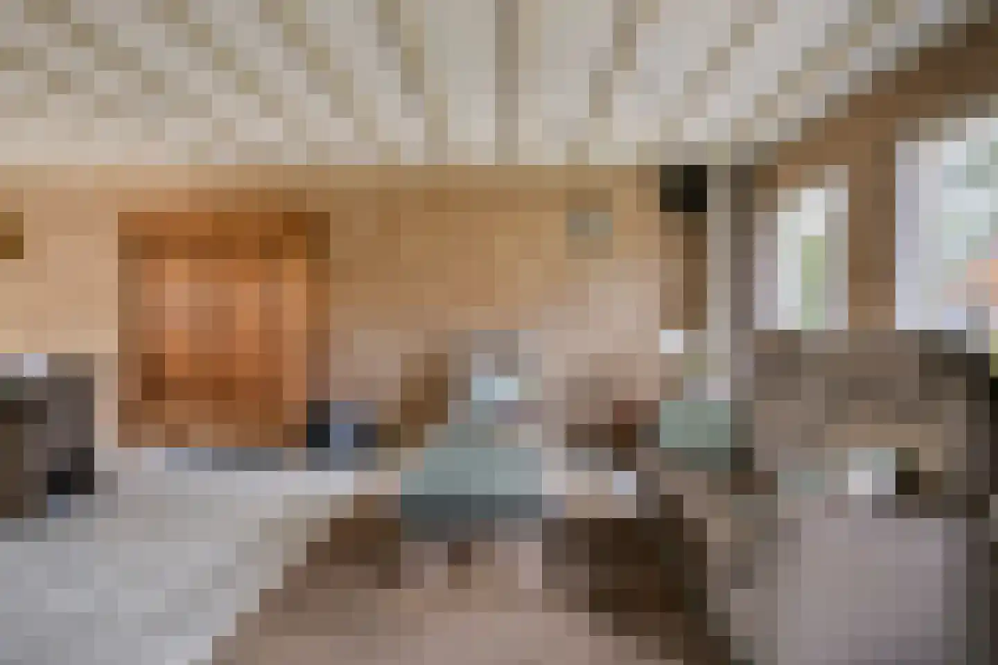 Van Wagenbergstraat 16 Hulsel thumbnail 6