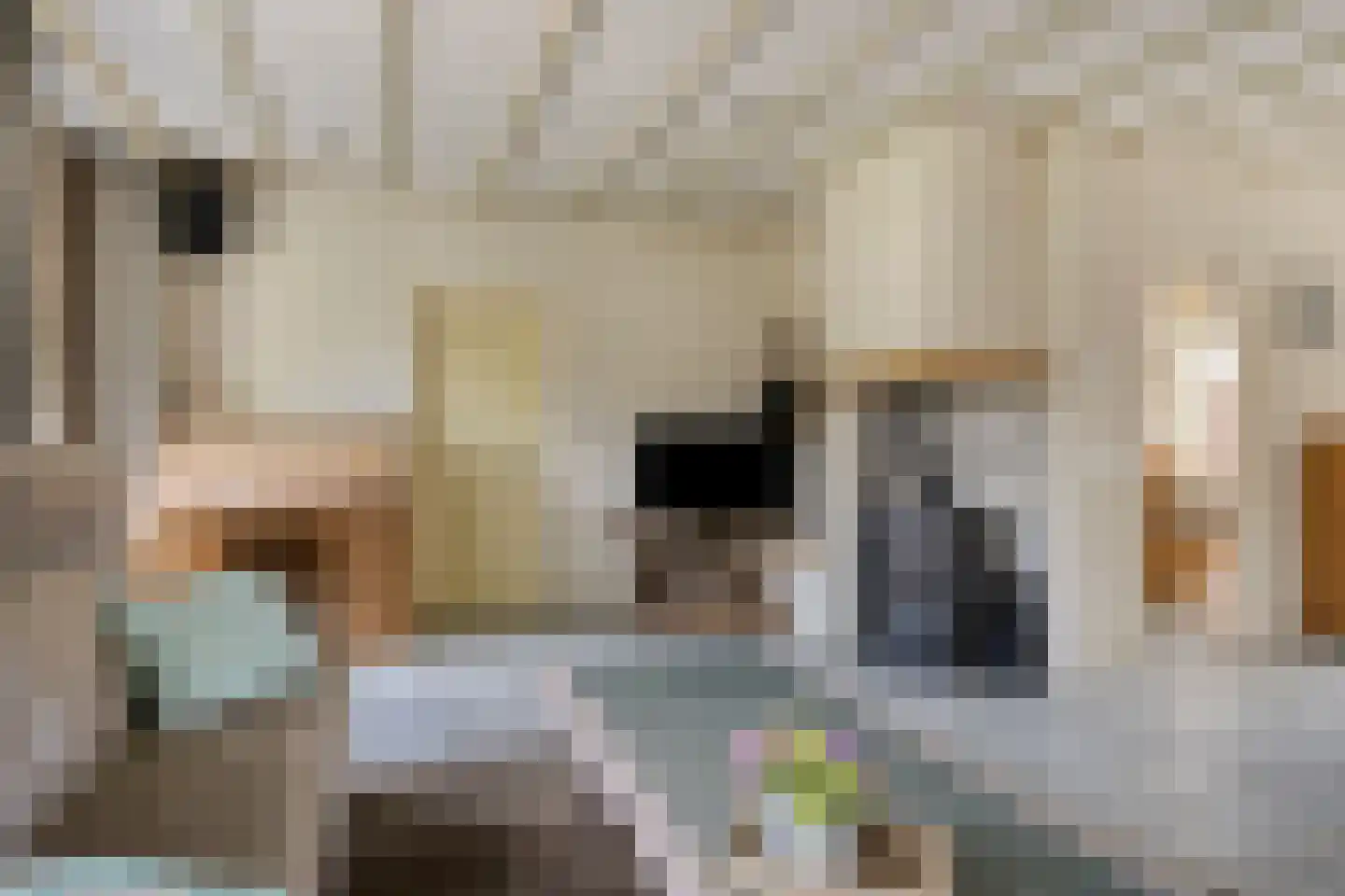 Van Wagenbergstraat 16 Hulsel thumbnail 7