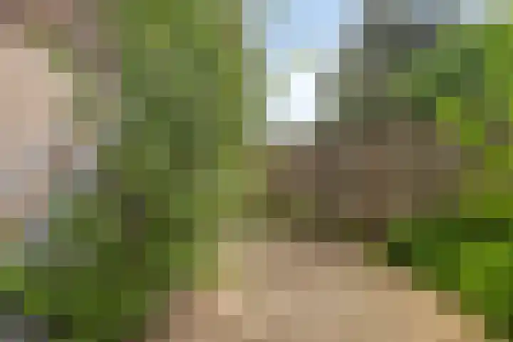 Van Wageningenstraat 39 Arnhem thumbnail 22