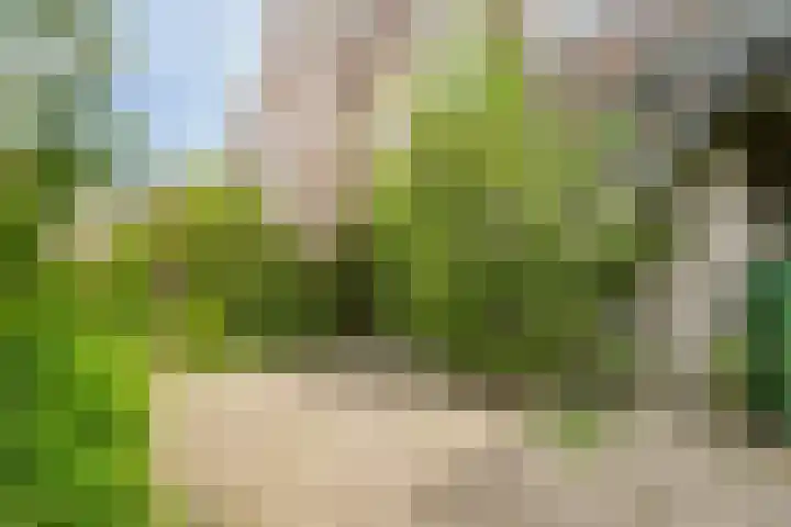 Van Wageningenstraat 39 Arnhem thumbnail 5