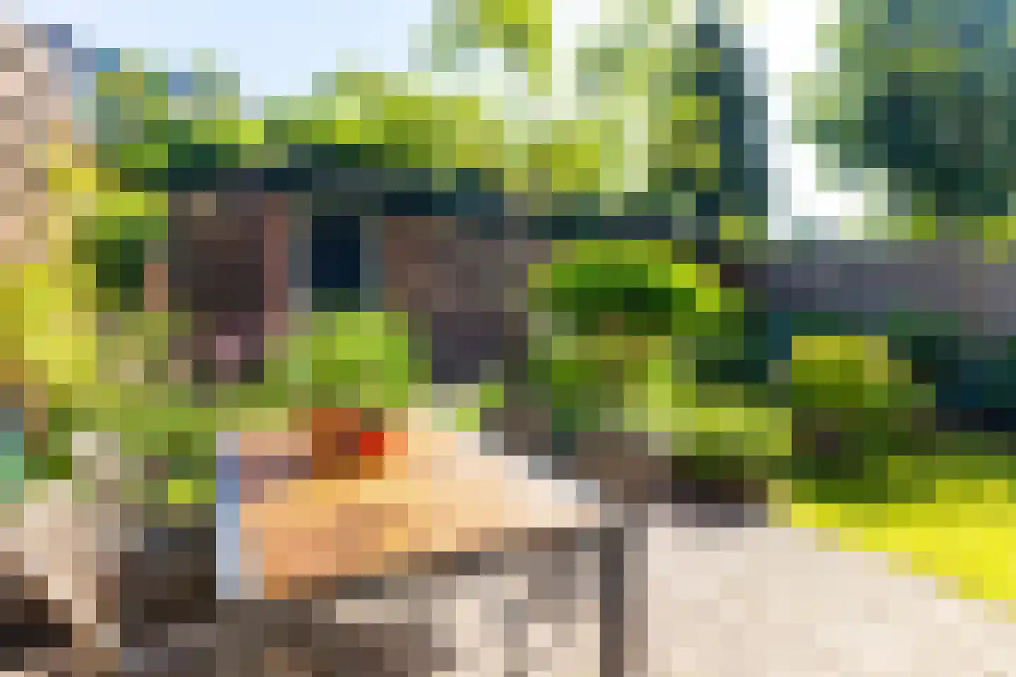 Van Wageningenstraat 40 Arnhem thumbnail 25