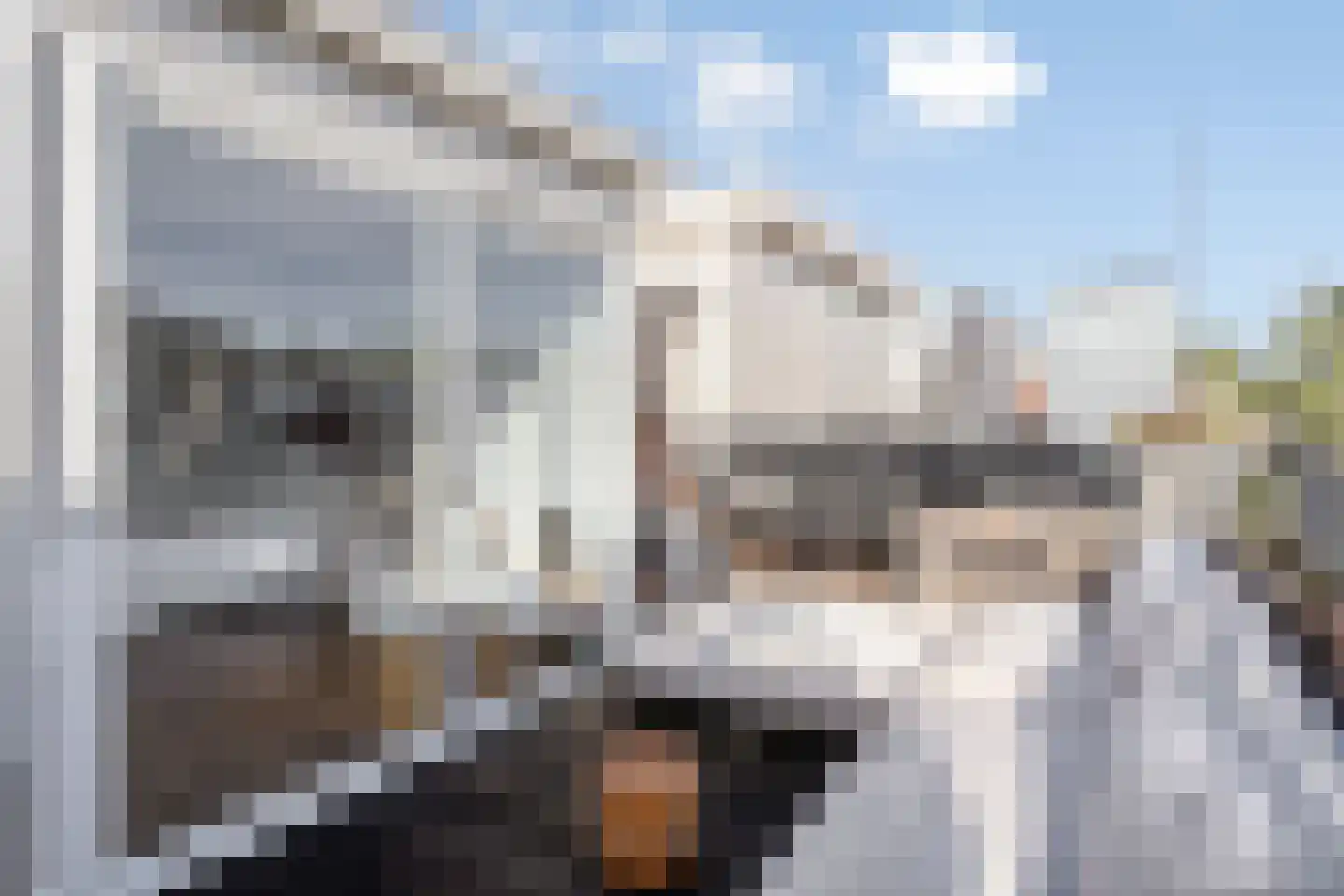 Van Wageningenstraat 44 Arnhem thumbnail 34