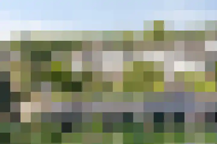 Van Wageningenstraat 67 Arnhem thumbnail 18