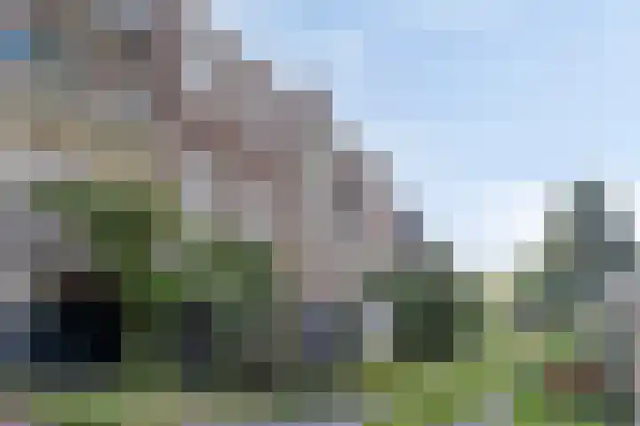 Van Wageningenstraat 67 Arnhem thumbnail 27