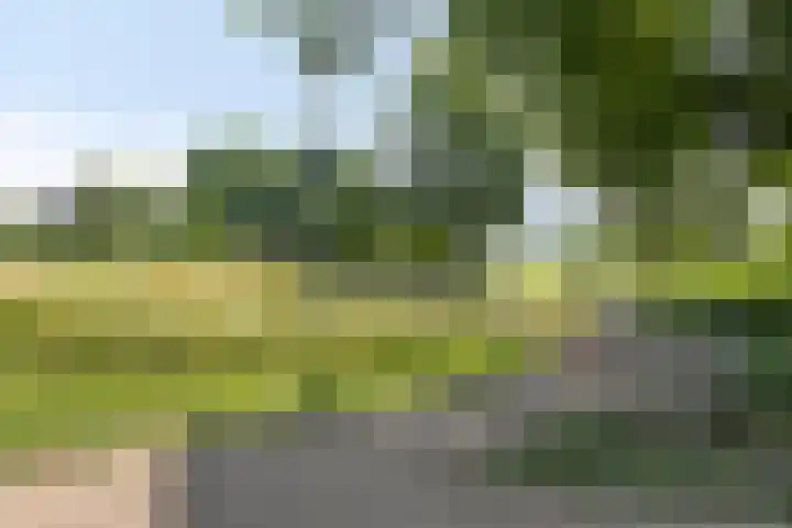 Van Wageningenstraat 67 Arnhem thumbnail 31