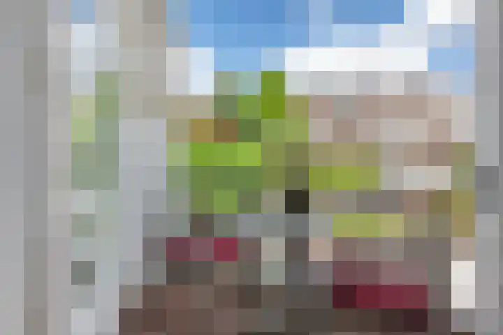 Van Wageningenstraat 68 Arnhem thumbnail 10