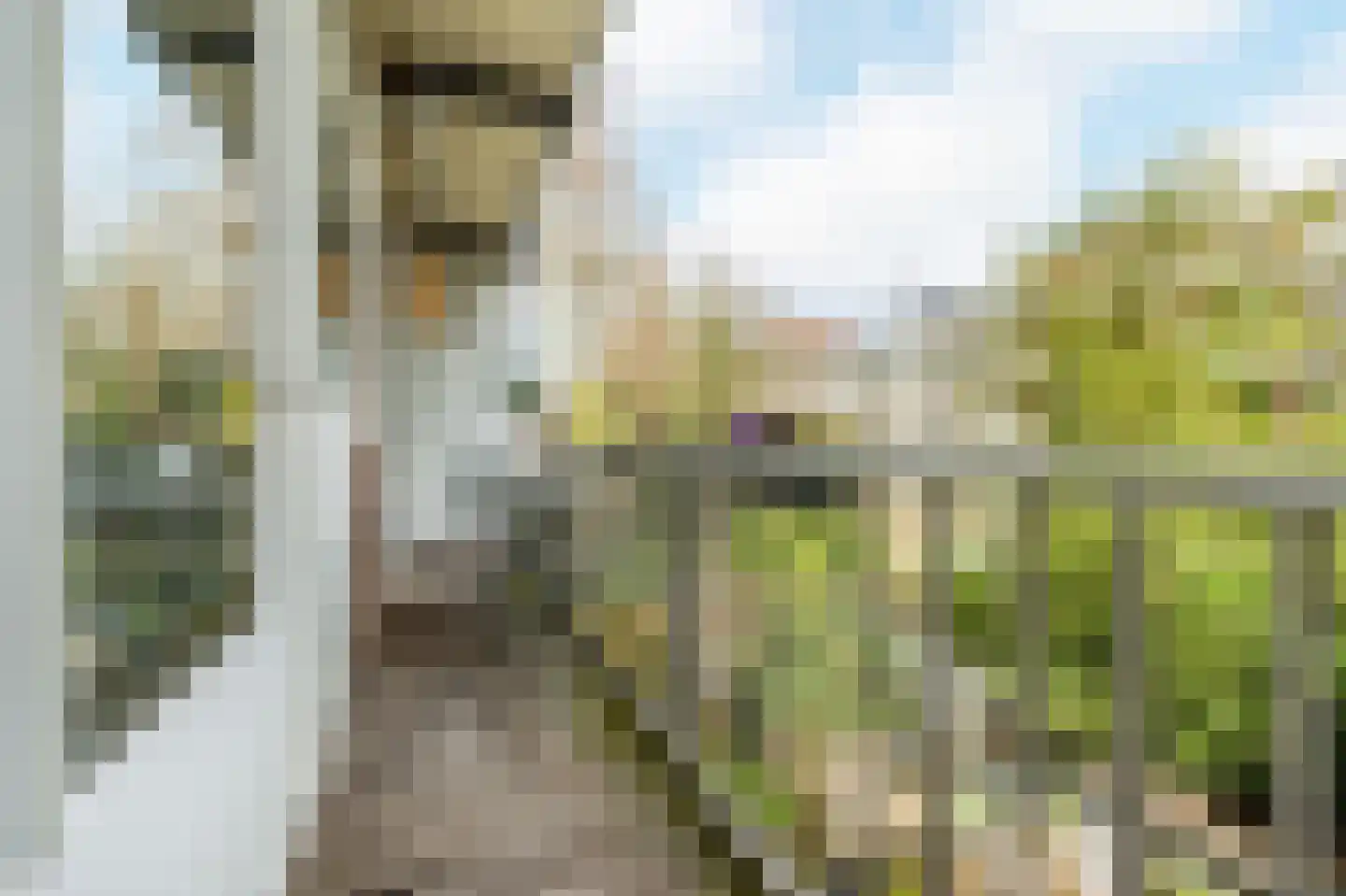 Van Walbeeckstraat 20 3 Amsterdam thumbnail 19