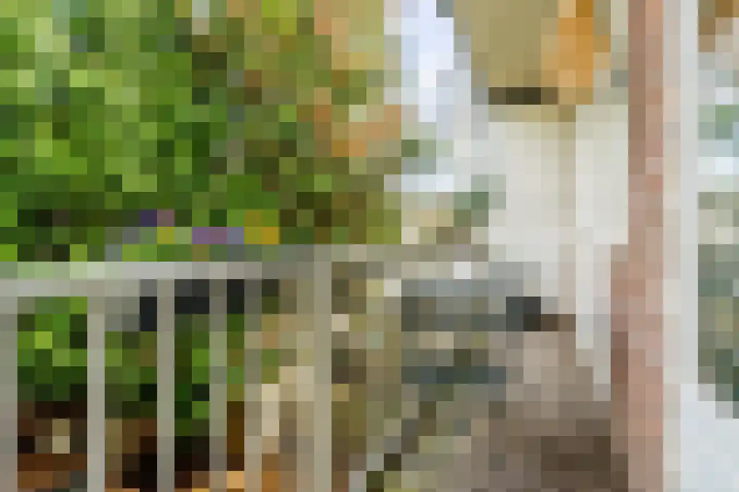 Van Walbeeckstraat 20 3 Amsterdam thumbnail 20