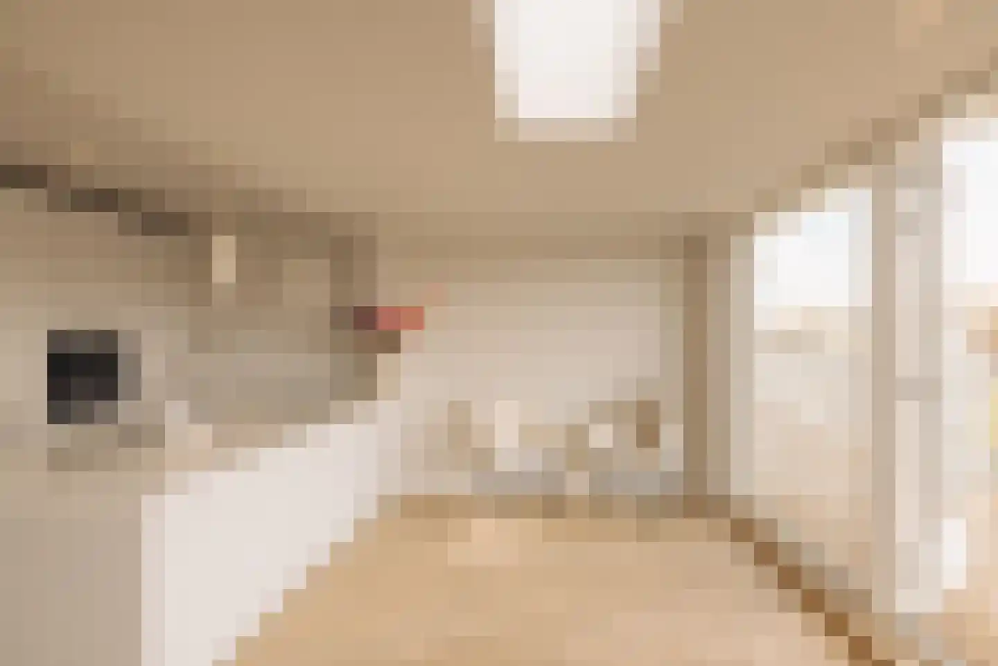Van Walbeeckstraat 32 4 Amsterdam thumbnail 8