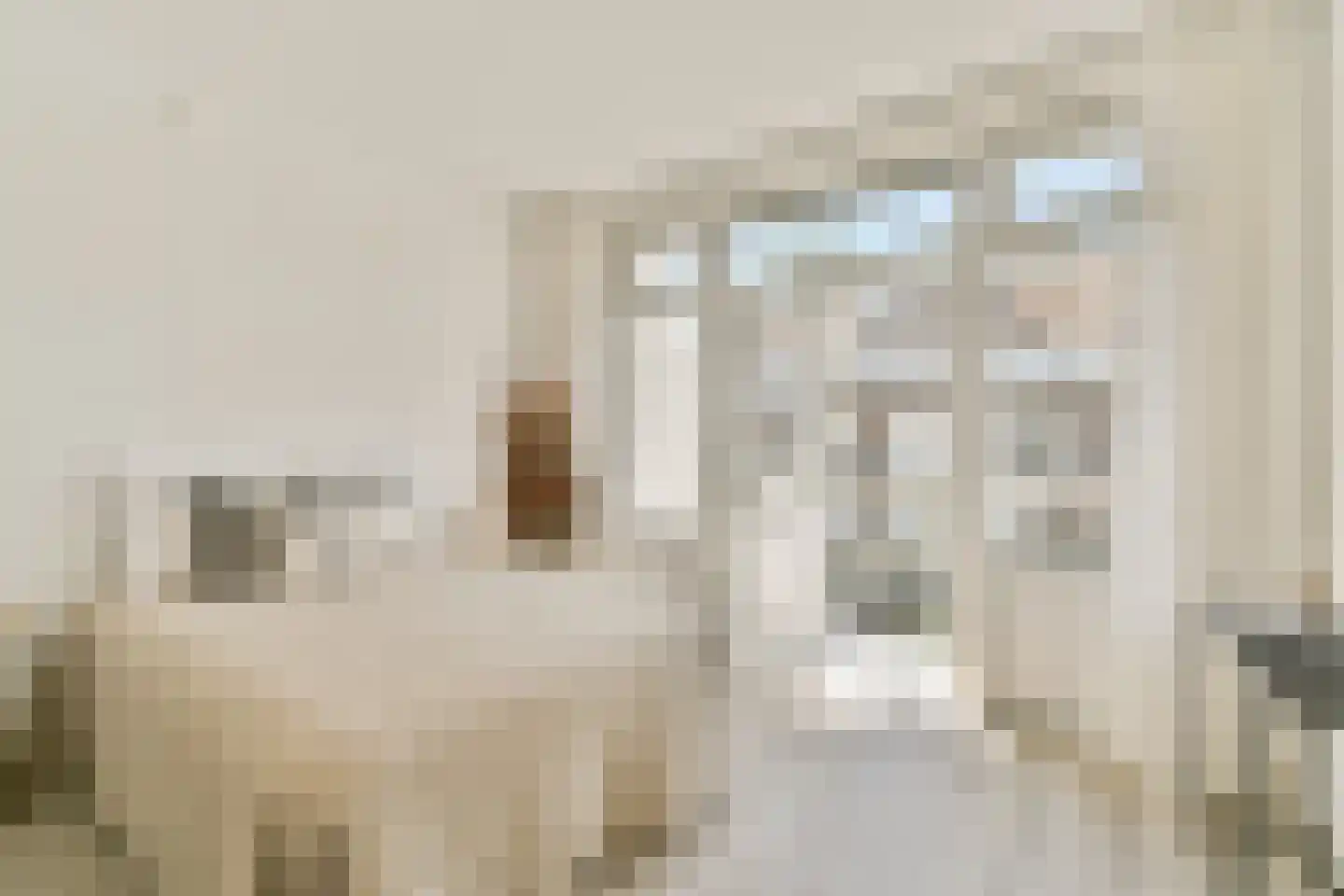 Van Walbeeckstraat 53 3 Amsterdam thumbnail 4
