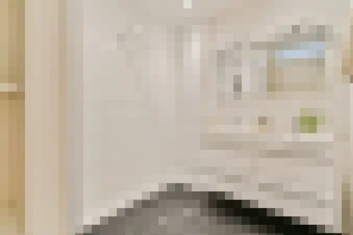 Van Walbeeckstraat 53 H Amsterdam thumbnail 12