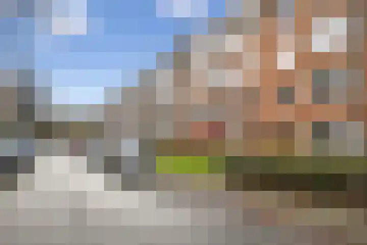 Van Walbeeckstraat 55 1 Amsterdam thumbnail 38
