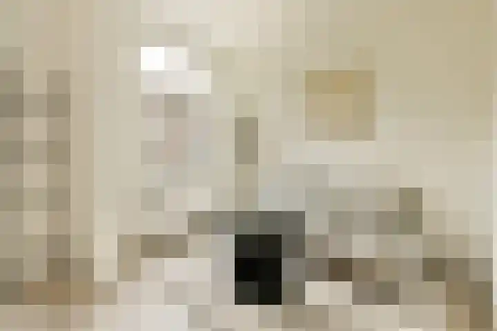 Van Walbeeckstraat 55 1 Amsterdam thumbnail 4
