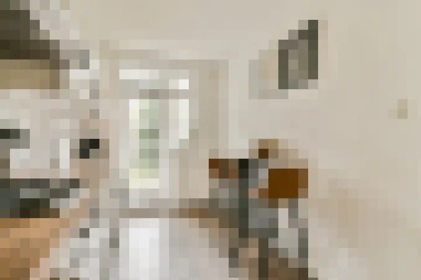 Van Walbeeckstraat 83 2 Amsterdam thumbnail 10