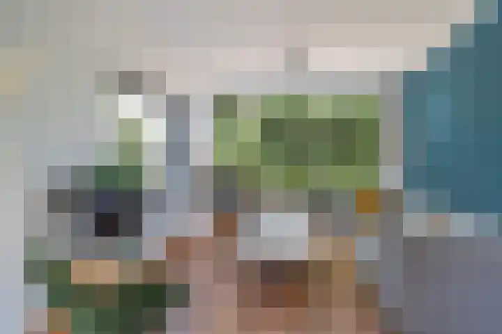 van Waldeck-Pyrmontstraat 16 Waddinxveen thumbnail 8