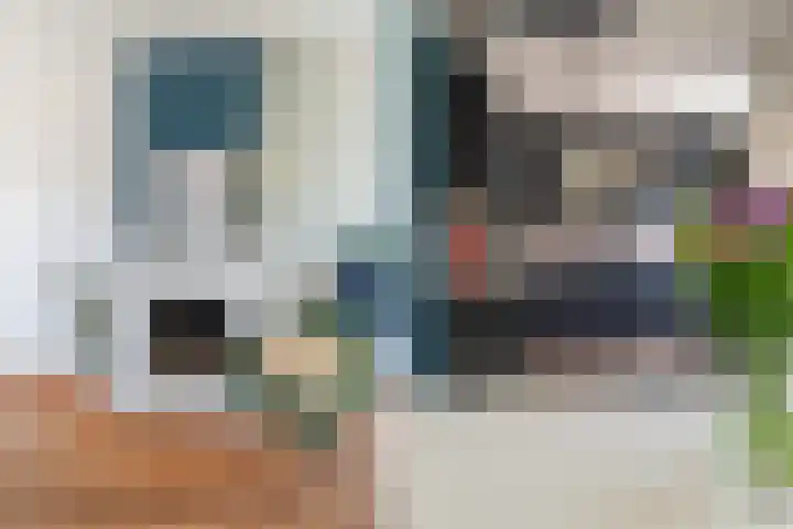 van Waldeck-Pyrmontstraat 16 Waddinxveen thumbnail 9