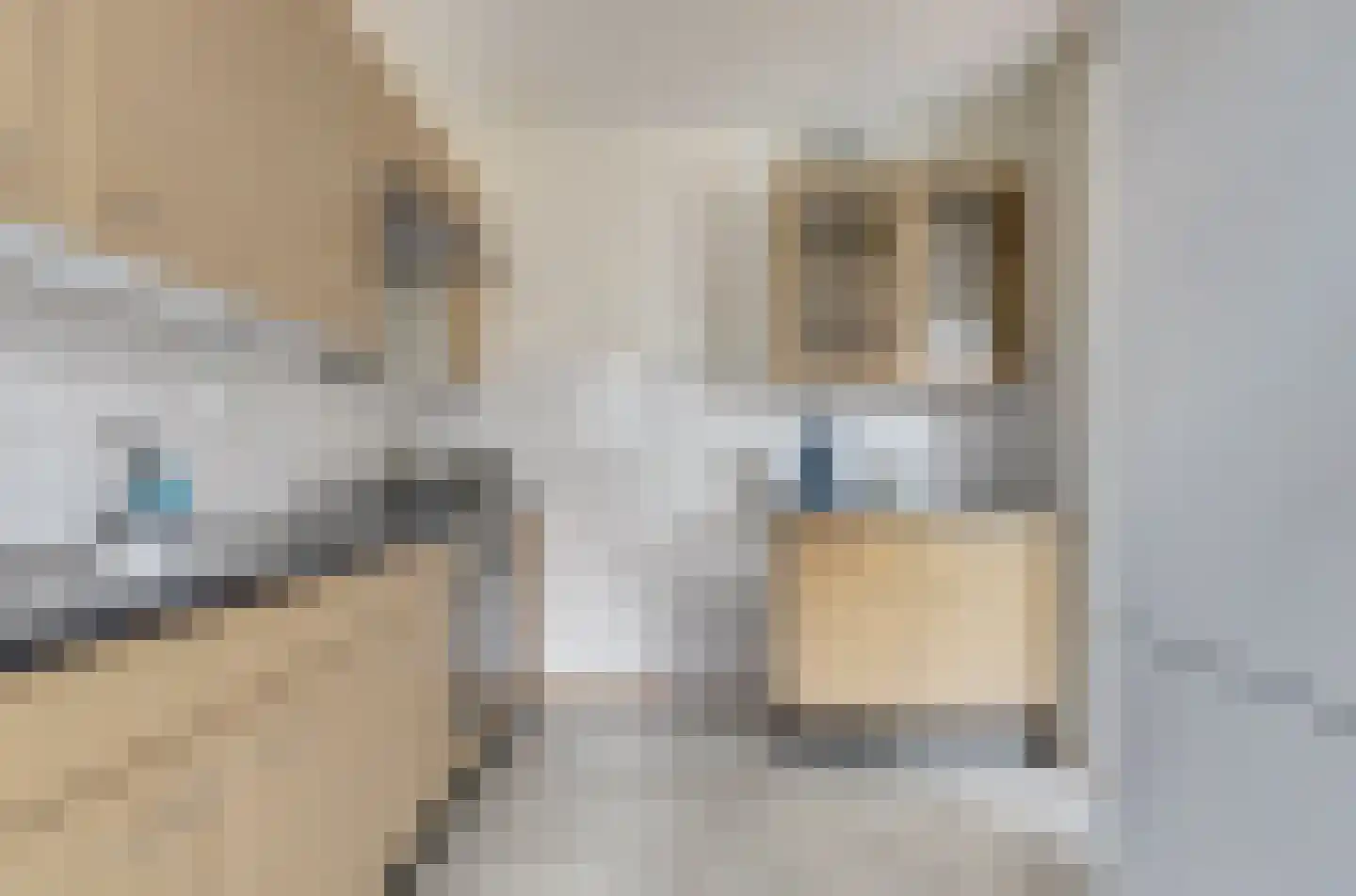 Van Walenburghof 12 Wolphaartsdijk thumbnail 13