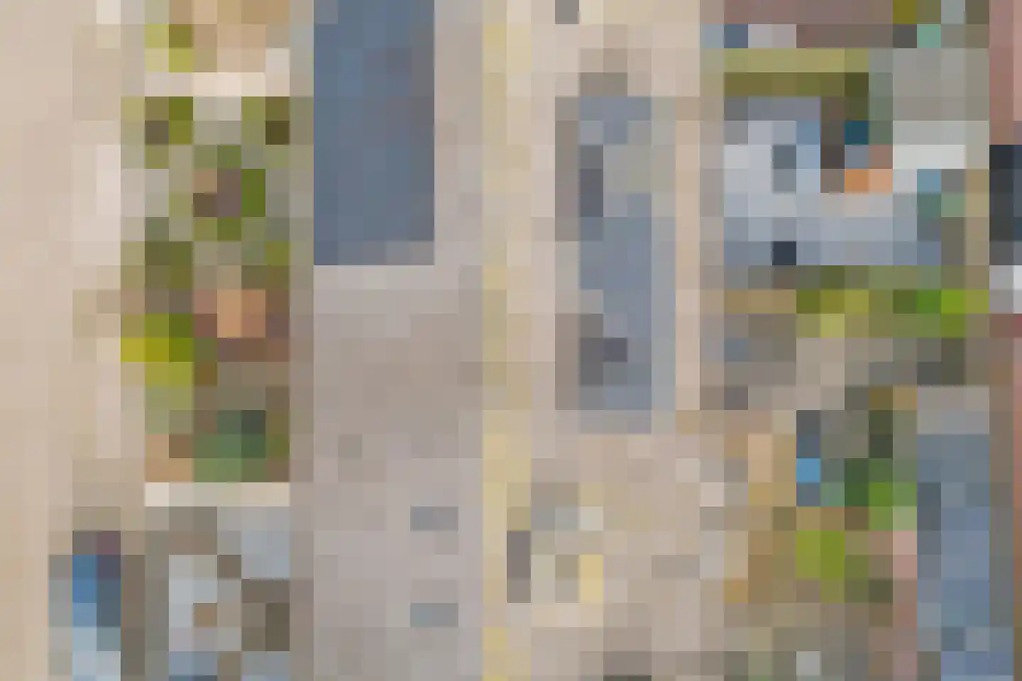 Van Walenburghof 12 Wolphaartsdijk thumbnail 36