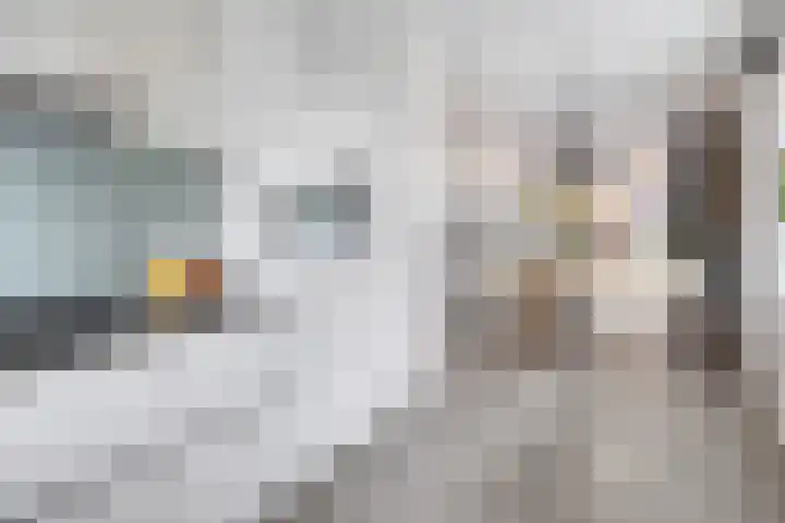 van Wandelenstraat 1 's-Hertogenbosch thumbnail 10