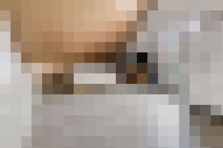 van Wandelenstraat 1 's-Hertogenbosch thumbnail 24