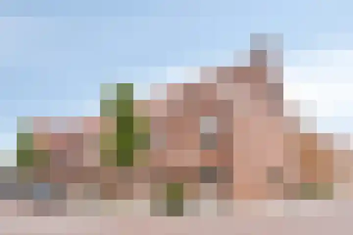 van Wandelenstraat 1 's-Hertogenbosch thumbnail 26