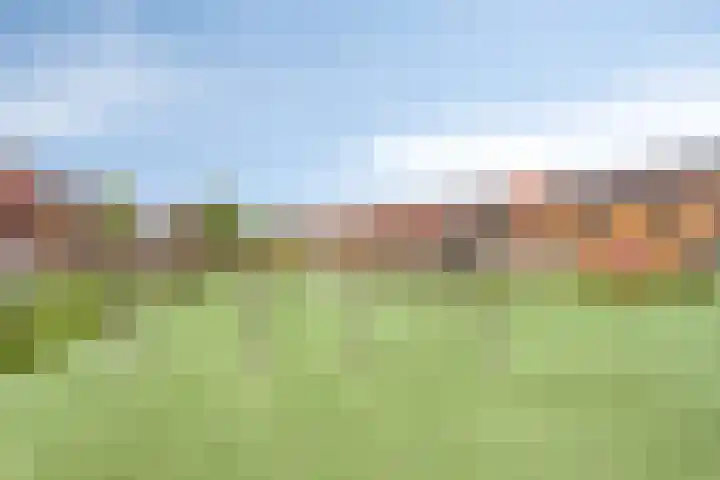 van Wandelenstraat 1 's-Hertogenbosch thumbnail 27