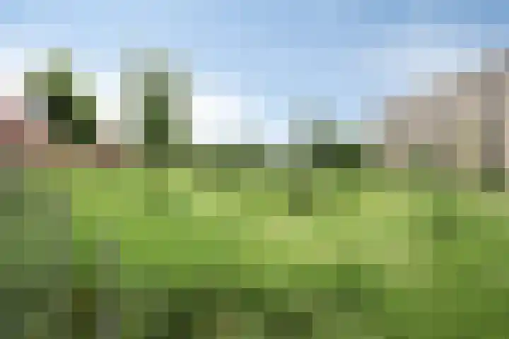 van Wandelenstraat 1 's-Hertogenbosch thumbnail 28