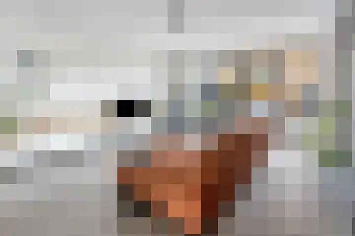 van Wandelenstraat 1 's-Hertogenbosch thumbnail 4